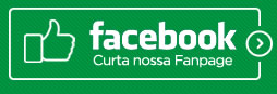 Facebook - Curta nossa Fanpage